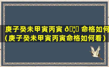 庚子癸未甲寅丙寅 🦋 命格如何（庚子癸未甲寅丙寅命格如何看）